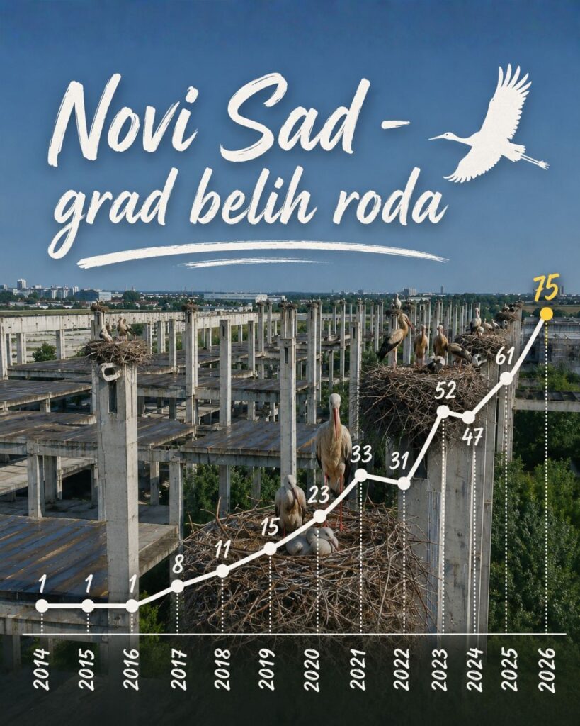 Dan roda statistika