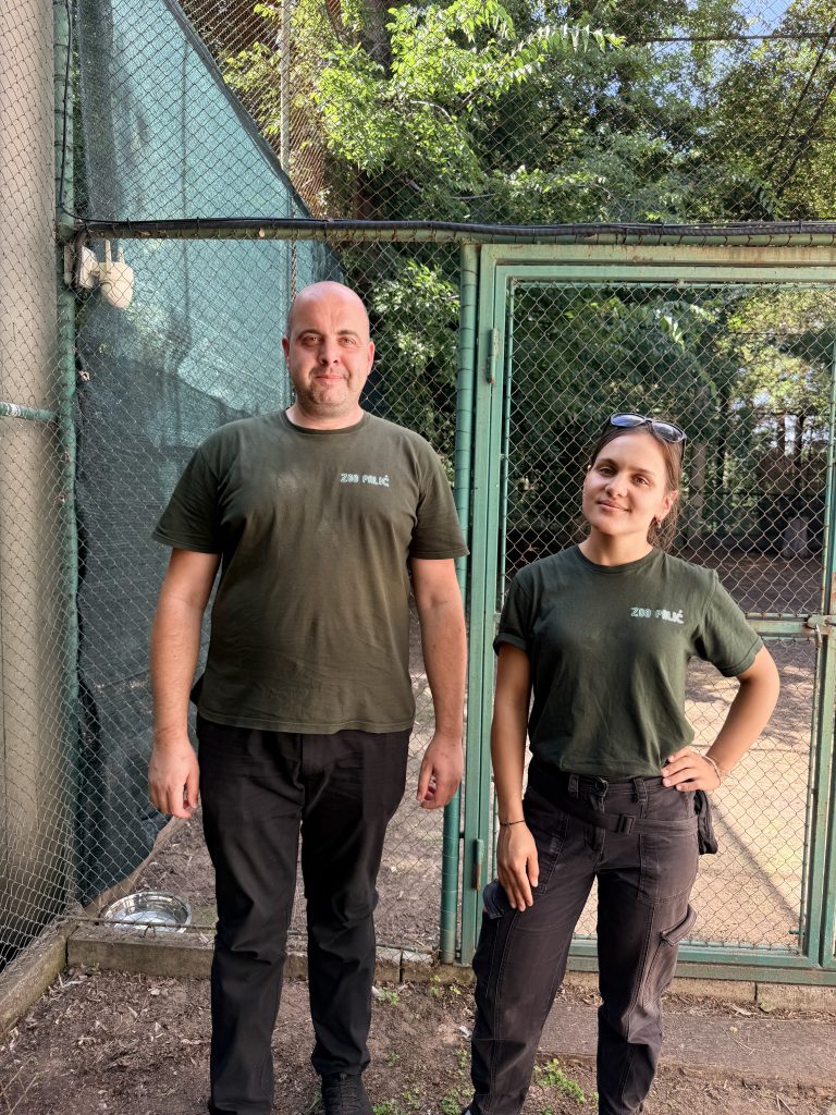 Orla kestaša Feliksa dočekali su veterinar Marko Lazić i biolog Anđelija Stokin