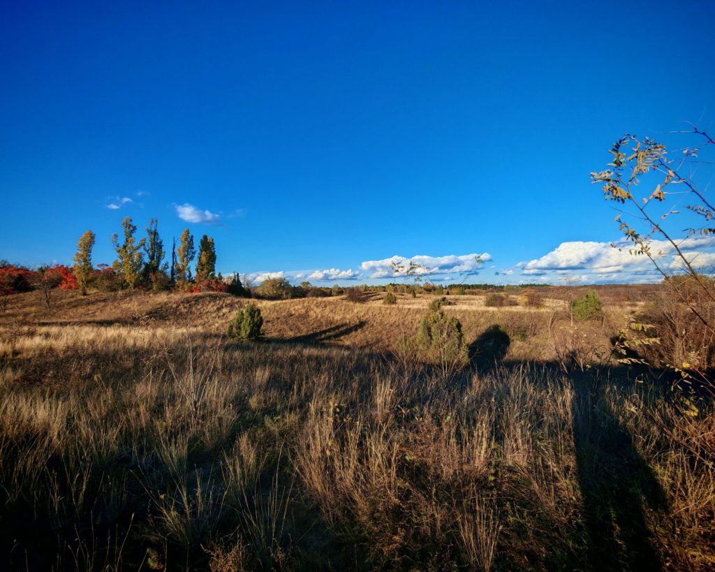 Različita staništa na području Deliblatske peščare, foto- Boris Okanović
