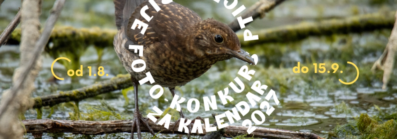 foto-konkurs „Ptice Srbije“