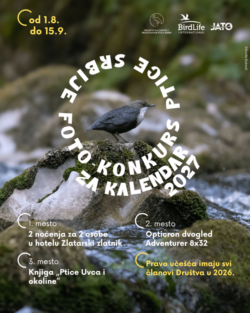 Foto konkurs Ptice Srbije: osvoji nagrade i uđi u kalendar 2 foto-konkurs „Ptice Srbije“
