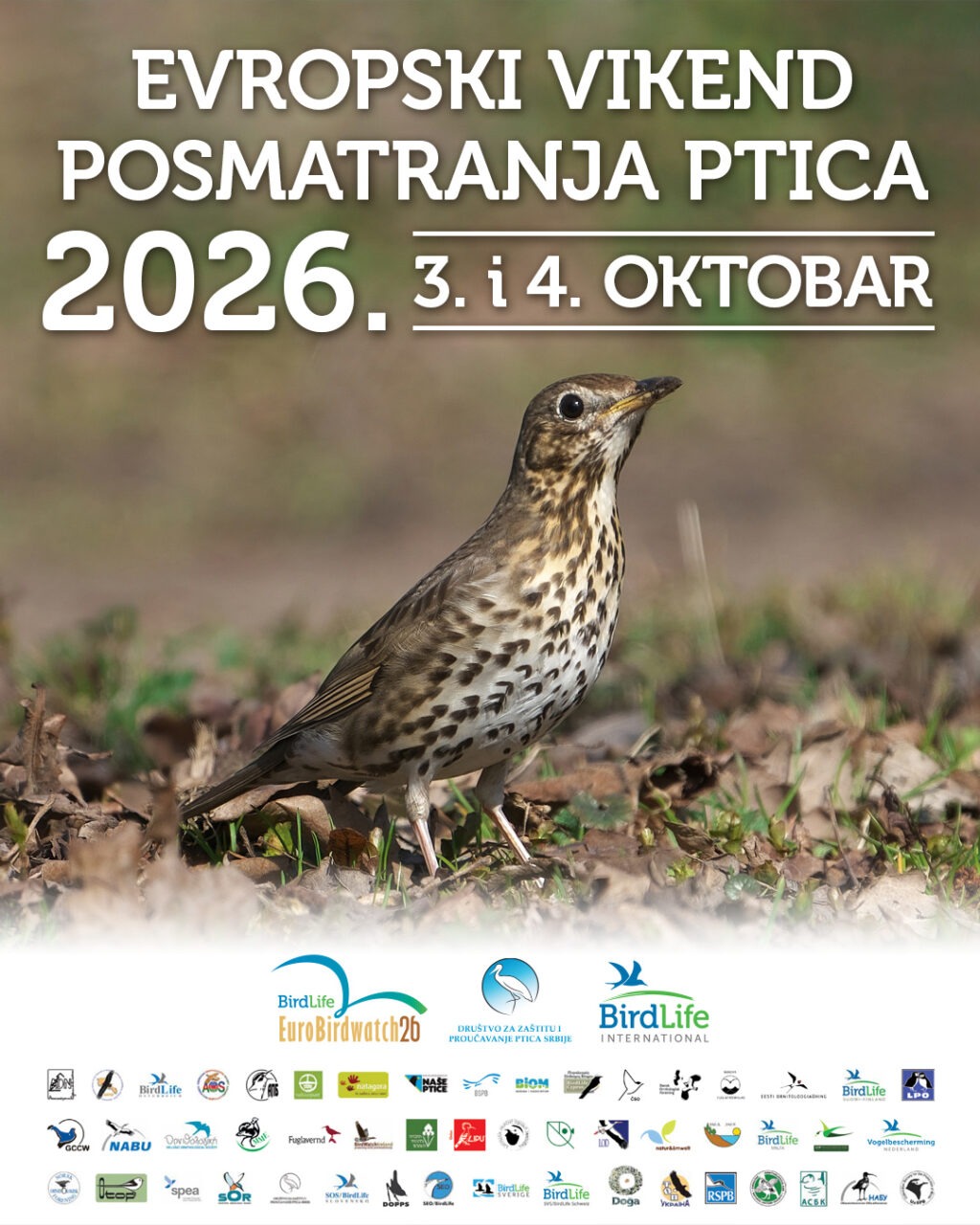 Vikend posmatranja ptica