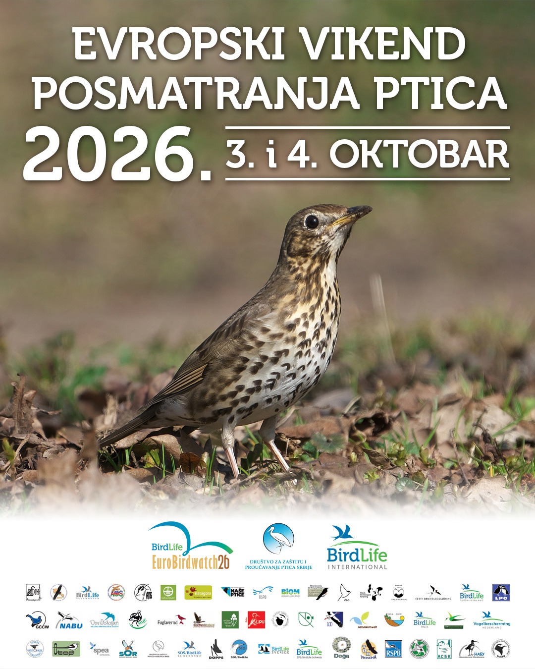 Vikend posmatranja ptica
