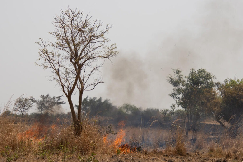 Prekoračenje granice od 1,5°C: vreme za izgovore je isteklo 2 Kafue Flats, Zambia. Farmers burn grass for better soil, but the fires spread quickly and also kill trees and other plants and animals
