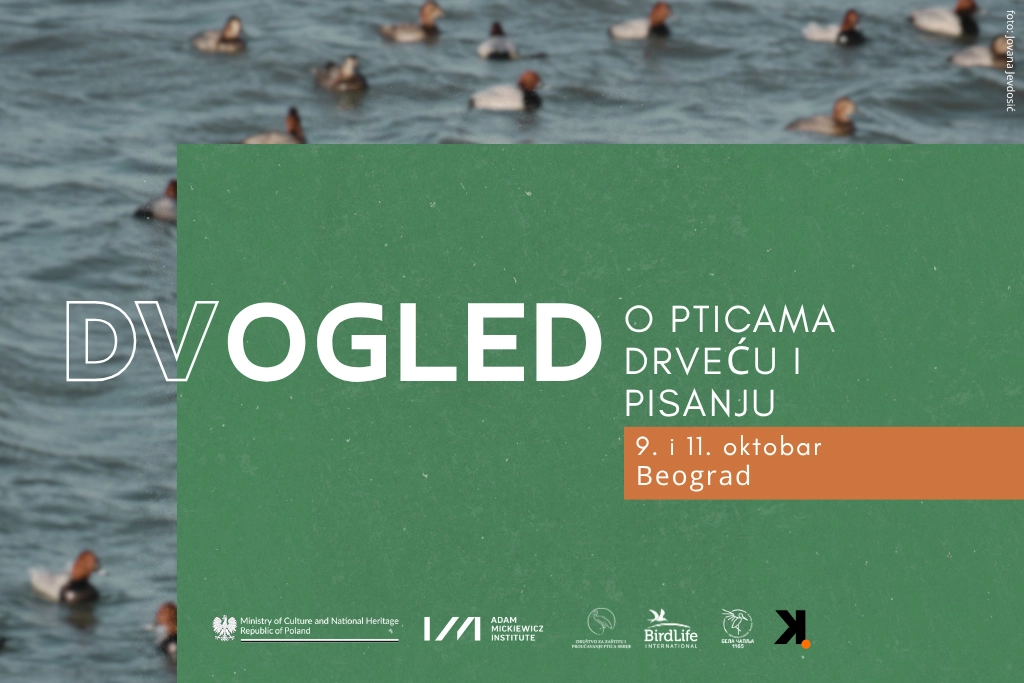 Dvogled u Beogradu plakat