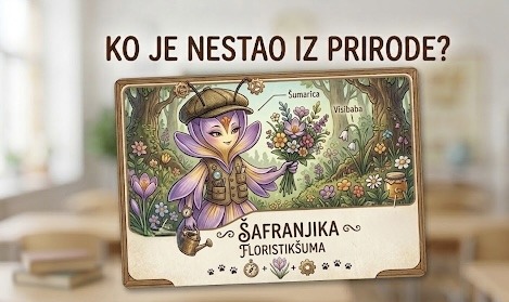 šafranjika